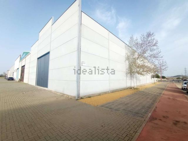 Local, Valdepeñas