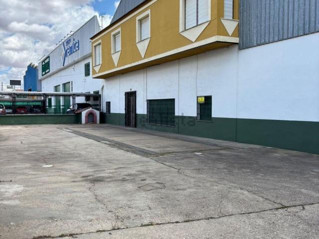 Local, Valdepeñas