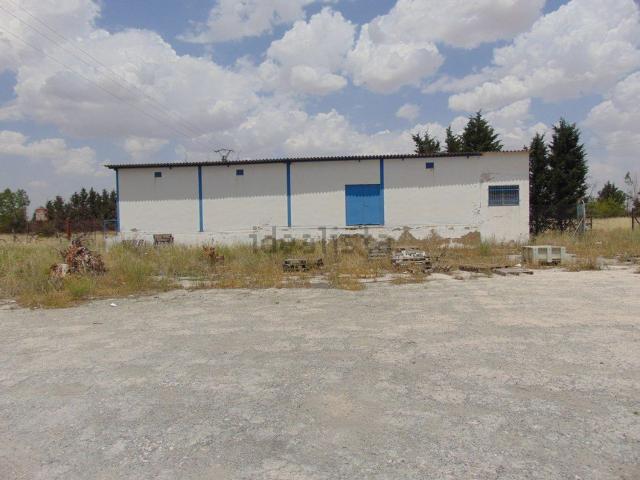 Local, Valdepeñas