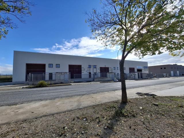 Local, Valls
