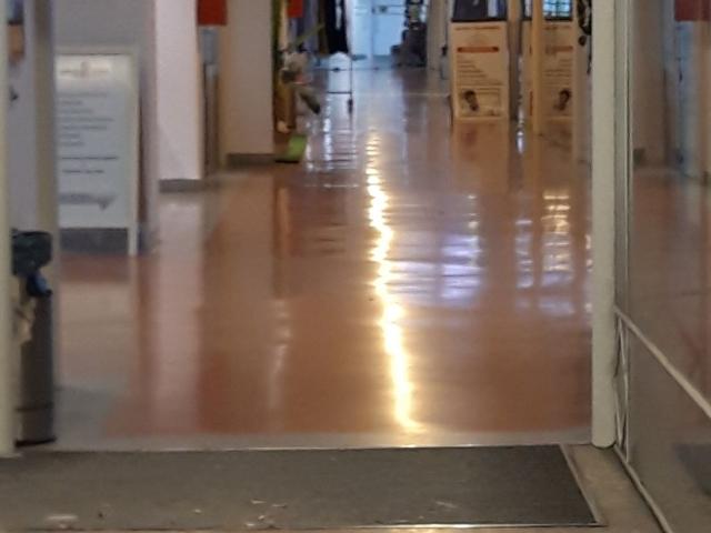 Local Venta Alava