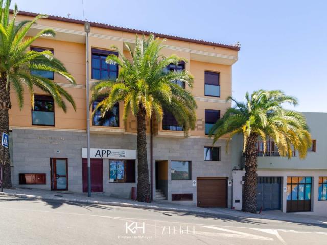 Local, Vega de San Mateo