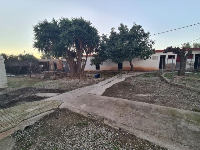 Local, Vinarós