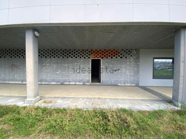 Local, Vigo
