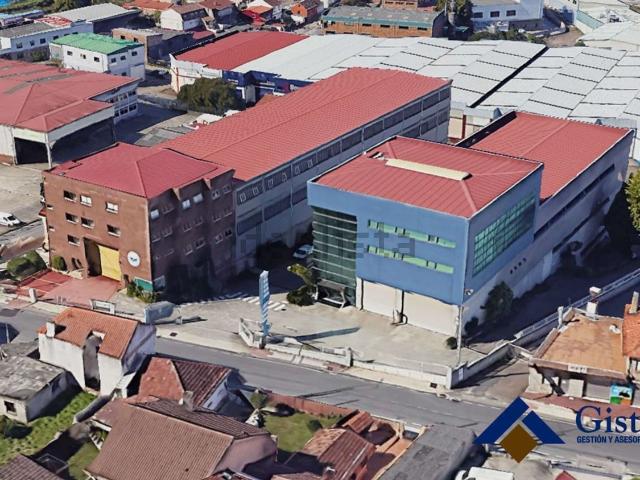 Local, Vigo