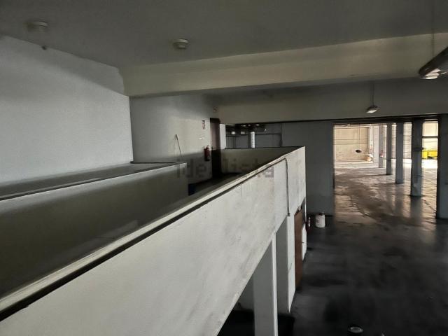 Local, Vigo