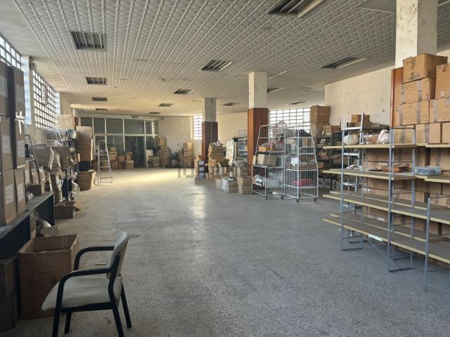 Local, Vigo