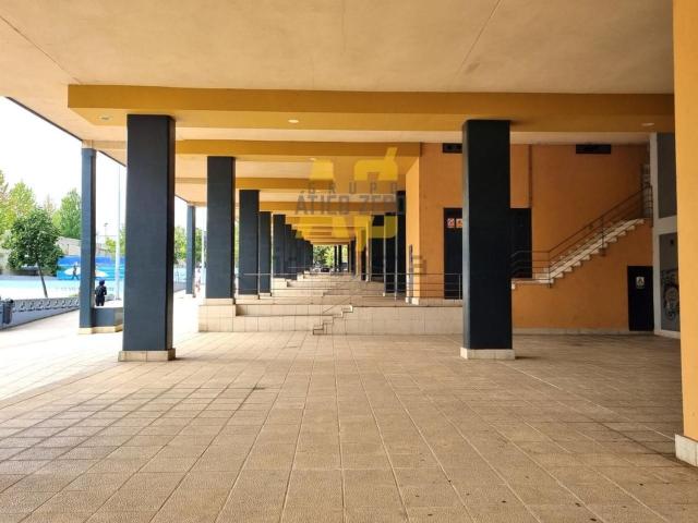Local, Vigo