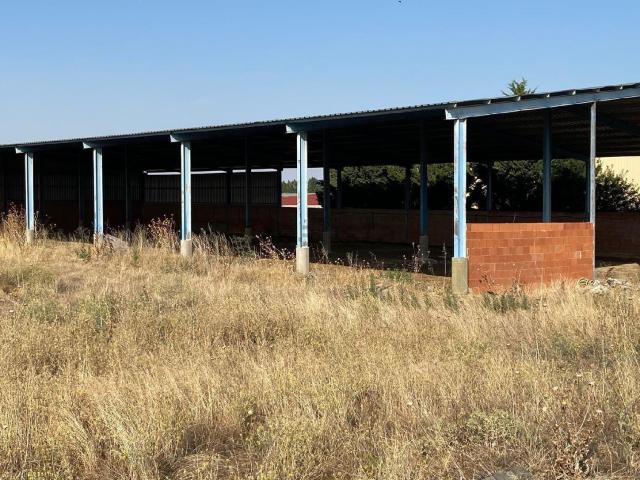 Local, Villamayor de Campos