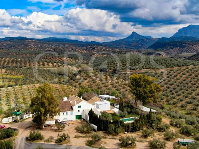 Local, Villanueva de la Concepcion
