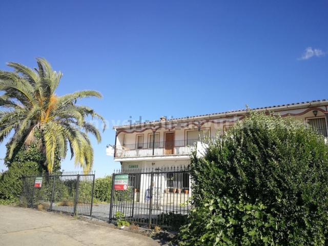 Local, Villanueva de la Vera