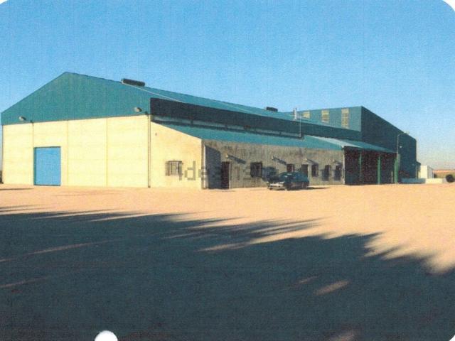 Local, Villarrobledo