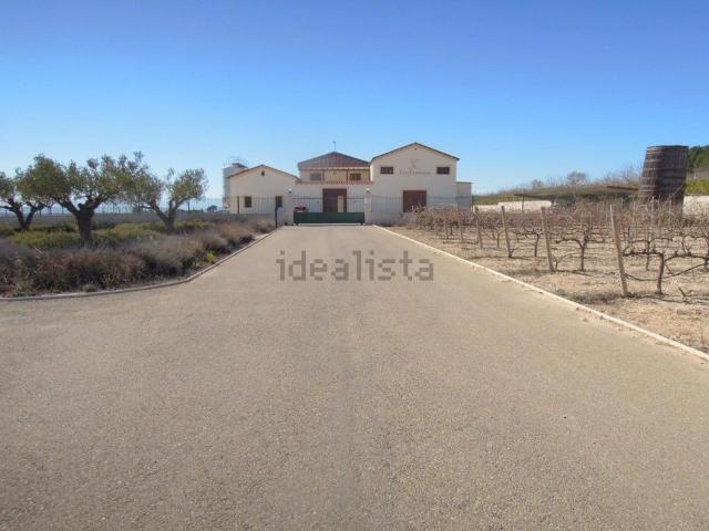 Local, Villena