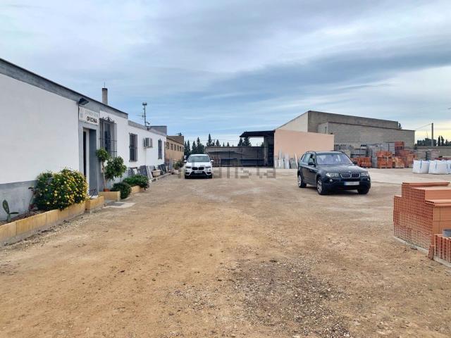 Local, Xerta