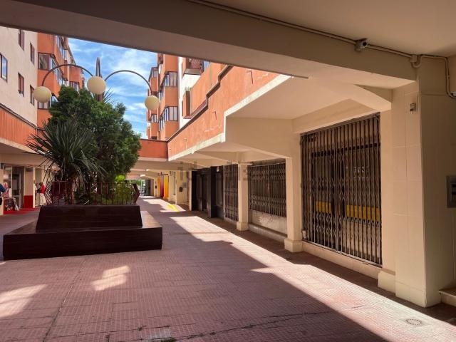 Local, Zamora
