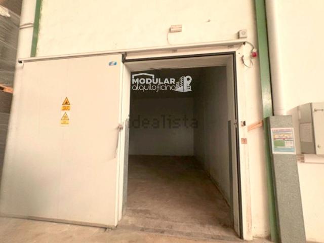 Local, Zona Deportiva Nuevo Altabix, Elche / Elx