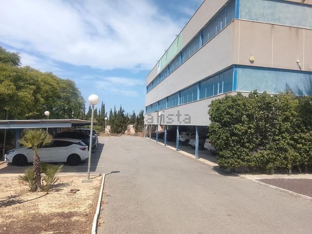 Local, Elche / Elx