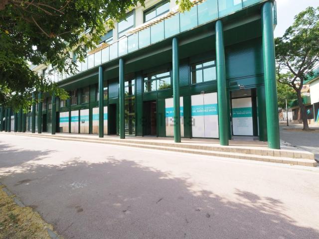 Local, Zona Esportiva, Terrassa