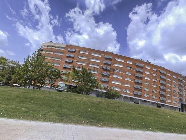 Local, Zona Esportiva, Terrassa