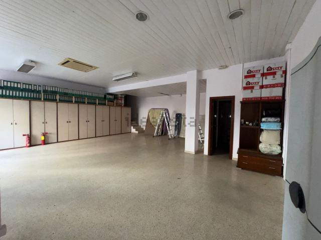 Local, Zona Esportiva, Terrassa