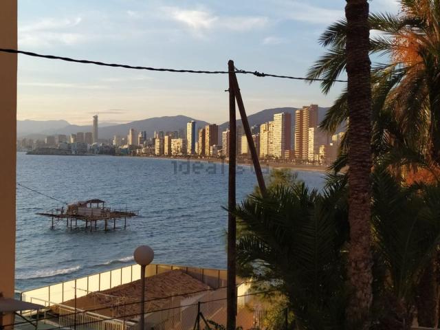 Local, Zona Sierra Helada, Benidorm
