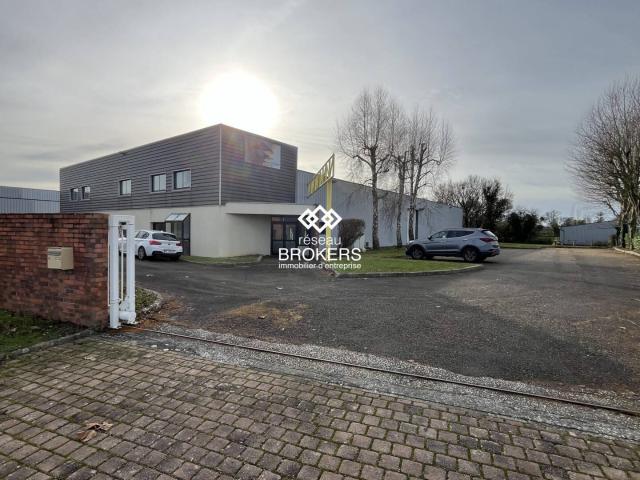 Local activite 1485