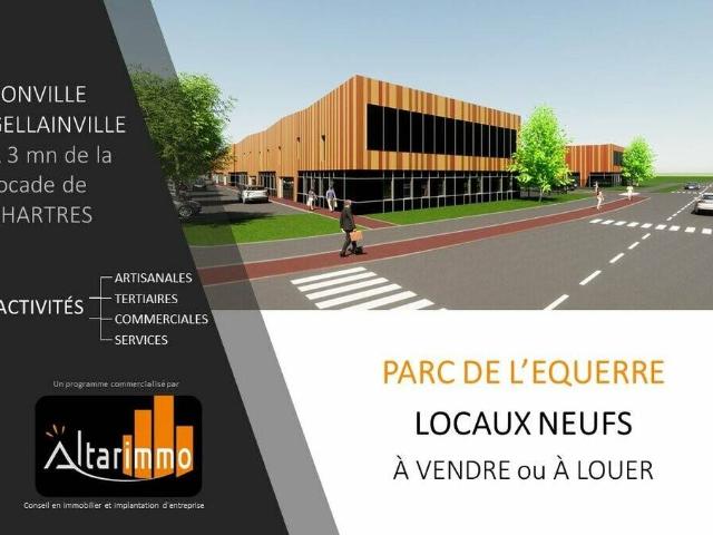 Local activite 175