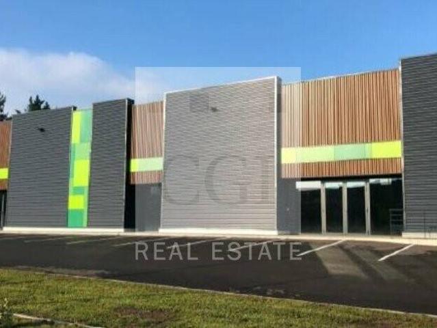 Local activite 2950.06