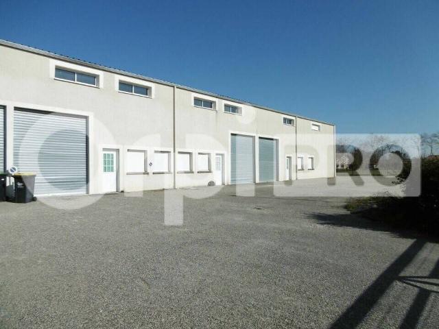 Local activite 300