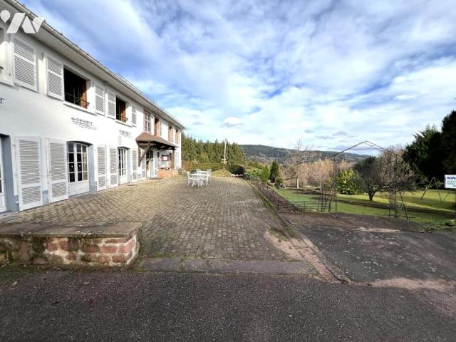 Local activités à louer à Petite Fosse, Grand Est, 393750€