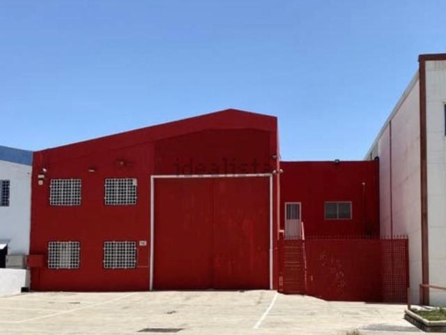 Local, Agüimes