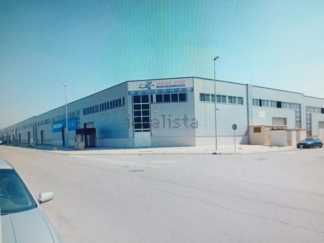 Local, Almazora/Almassora