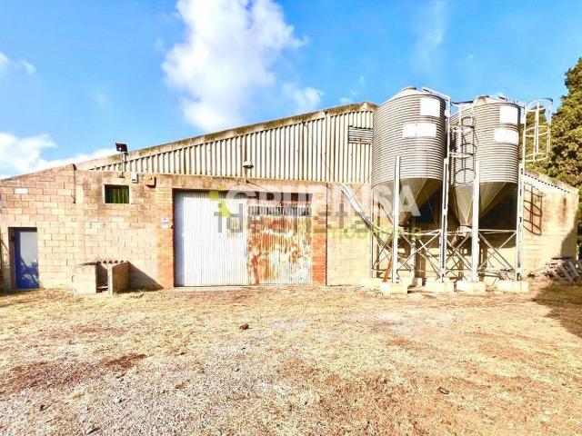 Local, Almazora/Almassora