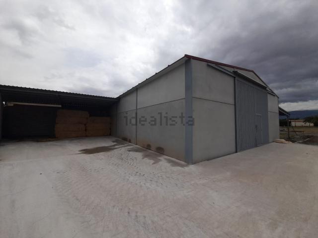 Local, Albuñan