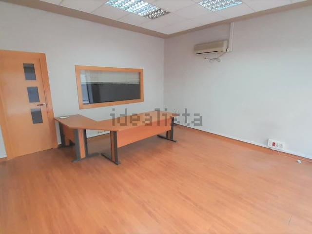 Local, Albacete