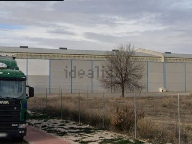 Local, Albacete
