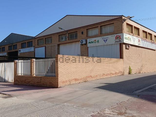 Local, Albacete