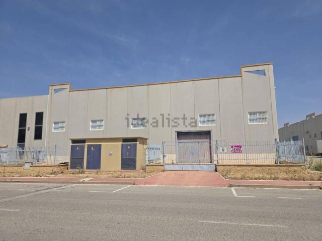 Local, Albacete