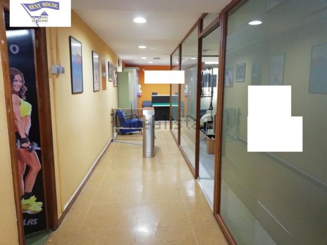 Local, Albacete