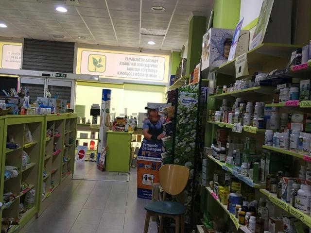 Local, Albacete
