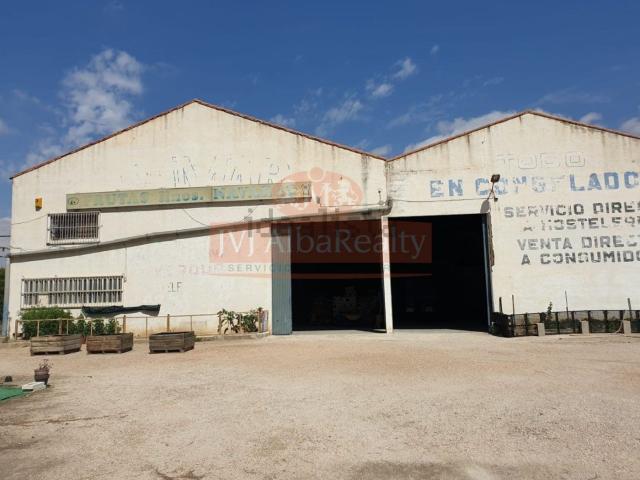 Local, Albacete