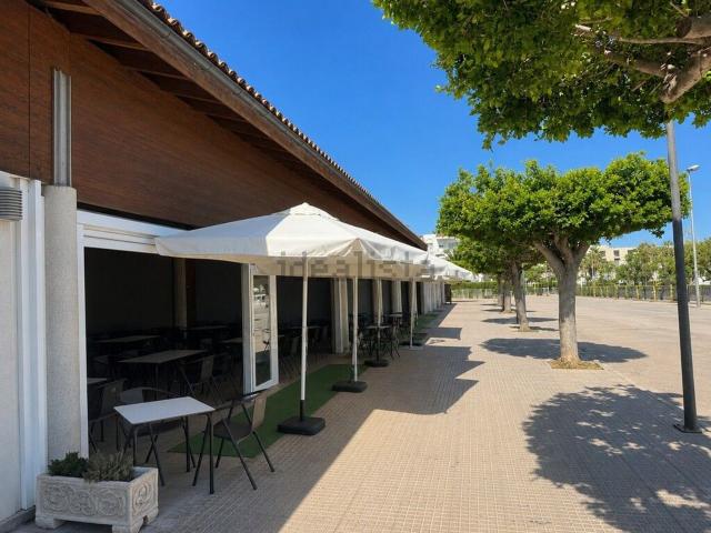 Local, Alcúdia