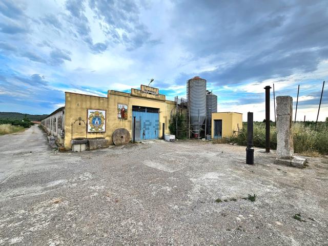 Local, Alcalá de Chivert