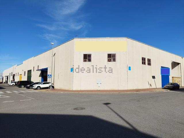 Local, Alcalá de Guadaira