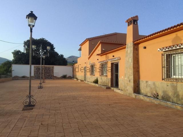 Local, Alcaucín