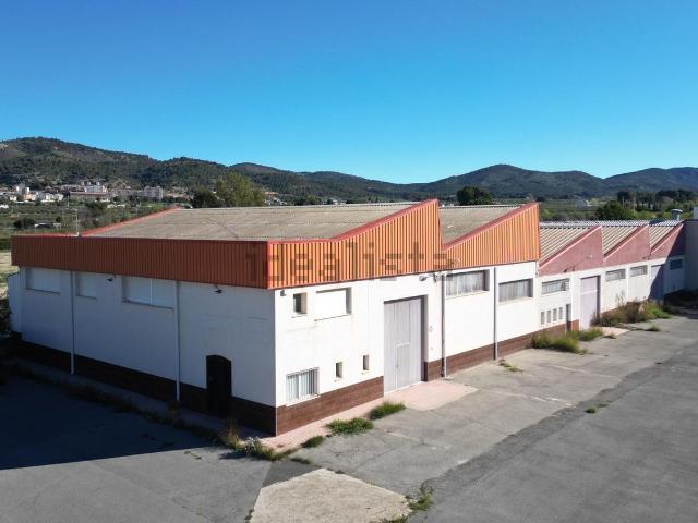 Local, Alcoy / Alcoi