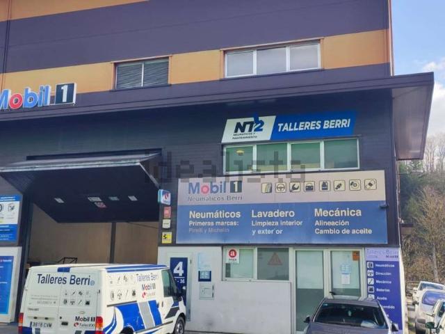 Local, Alegia