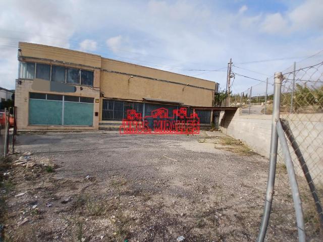 Local, Algueña