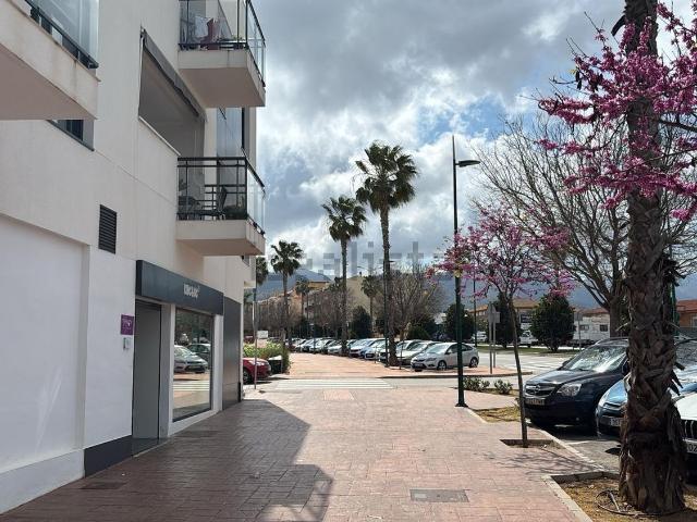 Local, Alhaurín de la Torre