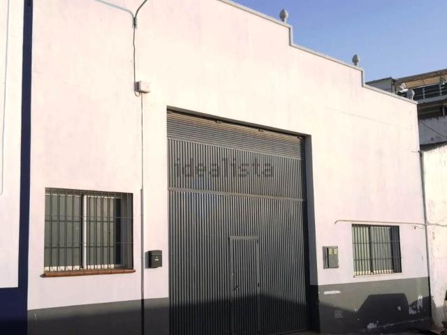 Local, Alhaurín el Grande
